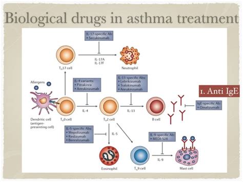 Biologic Therapy For Asthma Ppt