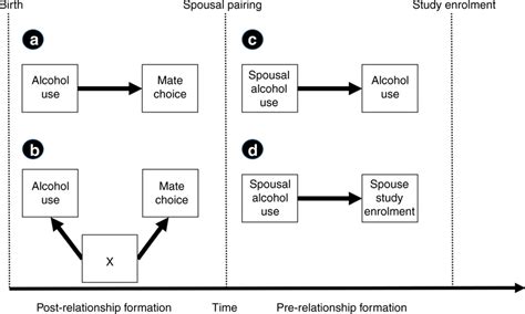 Possible Explanations For Spousal Concordance On Alcohol Use A