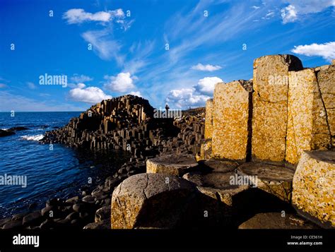 The Unesco World Heritage Site Giants Causeway North Coast County