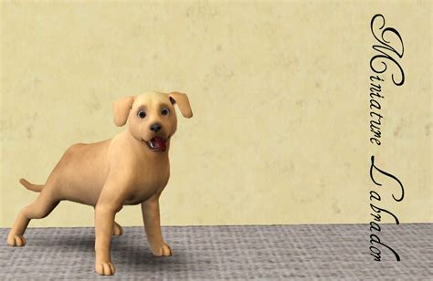 Mod The Sims Miniature Breeds Part Four