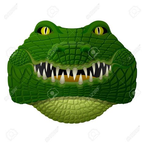 Realistic Crocodile Face Looks Ahead Front View Of Isolated Alligator