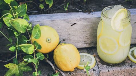How To Make An All Natural Lemonade Slushy Youtube