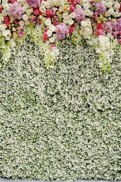 Colorful Flowers With Green Wall For Wedding Backdrop Stock Photo