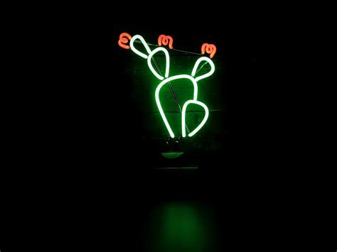 Cactus Neon Sign Wallpaper 66616 2048x1536px