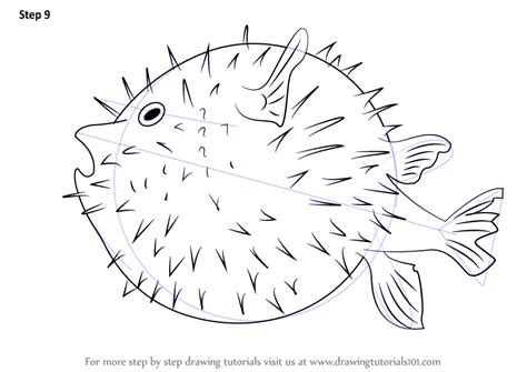 Learn How To Draw A Pufferfish Fishes Step By Step Drawing Tutorials