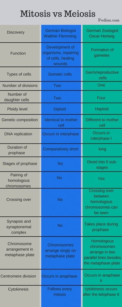 This review highlights these differences between meiosis and mitosis. Difference Between Mitosis and Meiosis