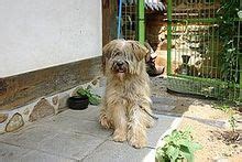 He is best known for his leading roles in the films the classic (2003), marathon (2005), tazza: Sapsali - Wikipedia