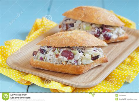 Pollo allo yogurt greco…scartavo sempre l'idea di preparare questa pietanza. Panino Dell'insalata Di Pollo Con Yogurt Greco Immagine ...
