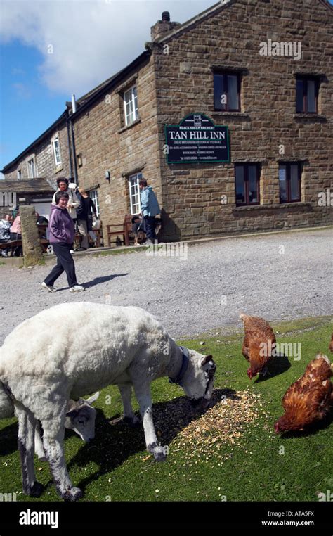 Tan Hill Inn Britains Highest Pub Above Swaledale Yorkshire Dales Stock