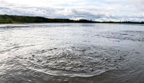 This Hissing Bubbling Alaska Lake Is Frightening Scientists