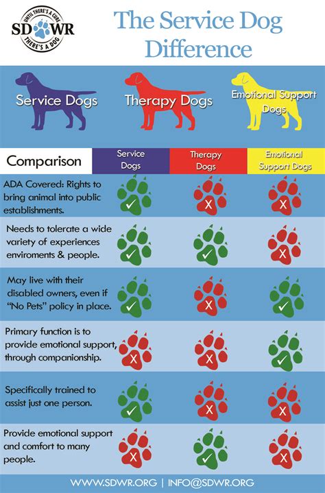 Dogs Stuff Simple Tricks For Making Your Dog Happier And Healthier