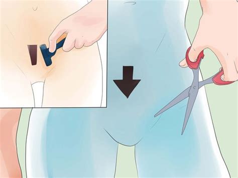 It seems, though, that as angry and rebellious as women are right now, not many people seem to want to bring back the full bush. Best 24 How to Cut Pubic Hair Male - Home, Family, Style ...