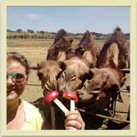 The admission may seem a little steep but the money goes towards the care and feeding of the animals. U-Pick Orchards & Other Agricultural Activities in Julian, CA.