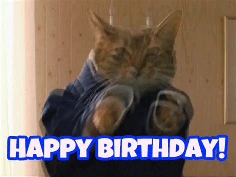 Happy Birthday Cat S 40 Animated Greeting Cards