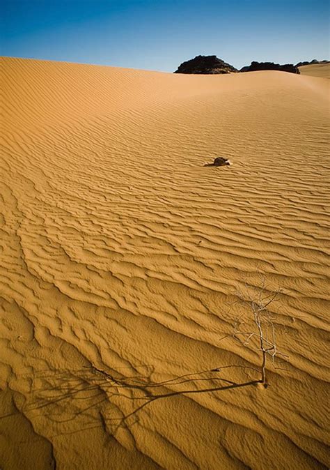 30 Wonderful Photos To Show You The Beauty Of The Desert