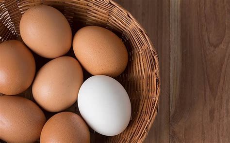 White Eggs Vs Brown Eggs What Exactly Is The Difference Trusted