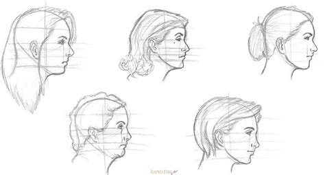 11 Steps On How To Draw A Female Face Side View Rapidfireart Face