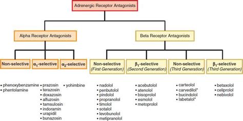Adrenergic Agonists And Antagonists Neuropharmacology Goodman And