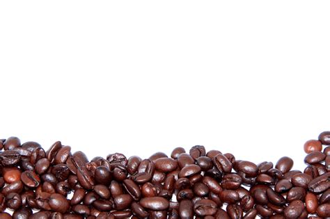 Order online for pickup or shipping! Easy Glass Splashbacks | Coffee Beans
