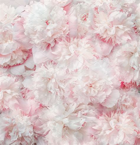 Pastel Pink White Flowers And Petals High Quality Arts