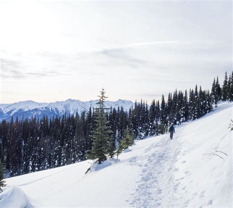 8 Amazing Washington Snowshoeing Routes Sixtack