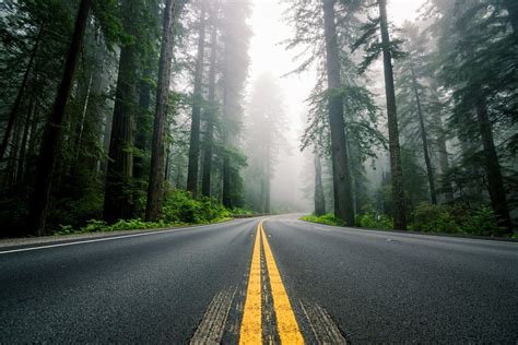 Highway Road And Forest 1920x1280 Wallpaper