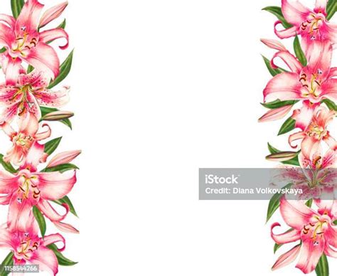 Beautiful Pink Lily Border Frame Bouquet Of Flowers Floral Print Marker