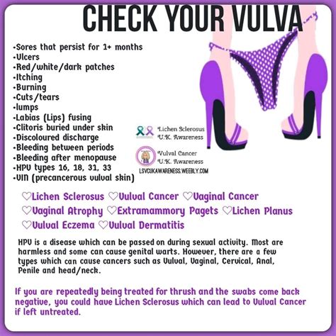 Vulval Cancer Happy Vulva Club