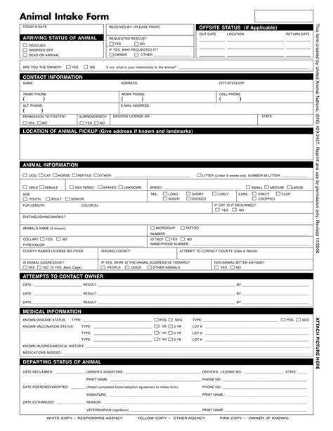 Animal Intake Form Template