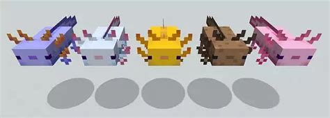 A Complete Guide To Axolotls In Minecraft Game Voyagers