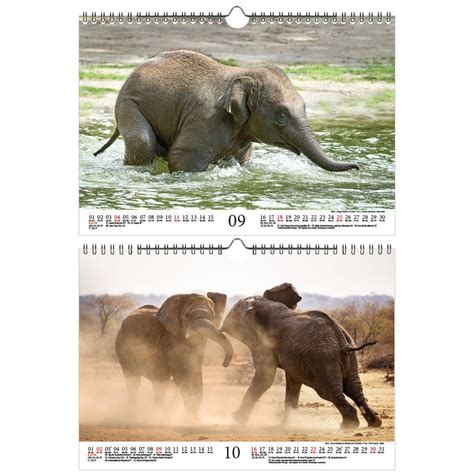 Elephant Magic Din A4 Calendario Para Elefantes 2022 Soul Etsy