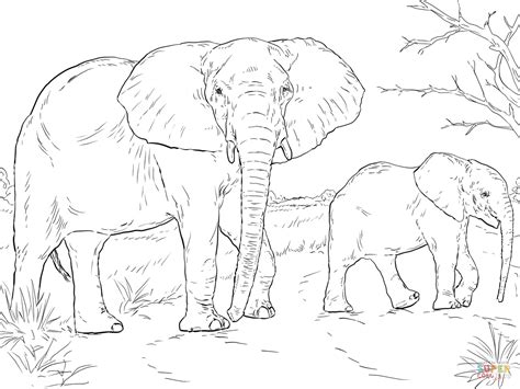 Coloriage Mère éléphant Dafrique Avec Son Petit Coloriages à