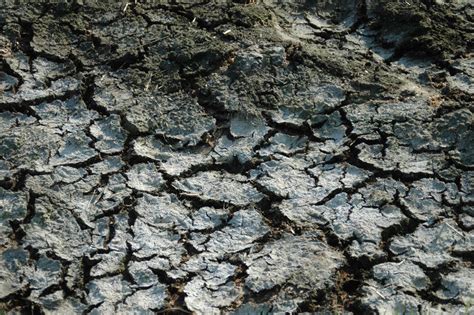 Dried Earth Texture004 By Blokkstox On Deviantart