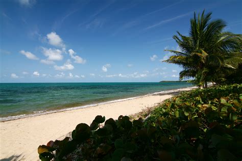 Belize (/bəˈliːz/ (listen)) is a caribbean country located on the northeastern coast of central america. Hopkins, Belize - Wikiwand