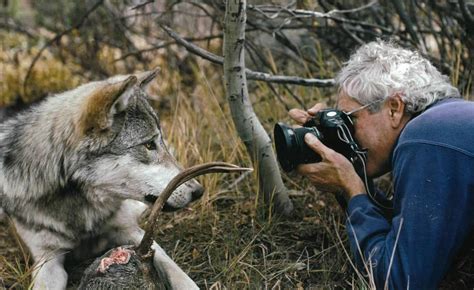 Ketchum Couples Experience Living With Wolves Revealed In New Book