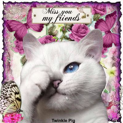 Hope he's having a blast in heaven. Miss You My Friends.... Pictures, Photos, and Images for ...