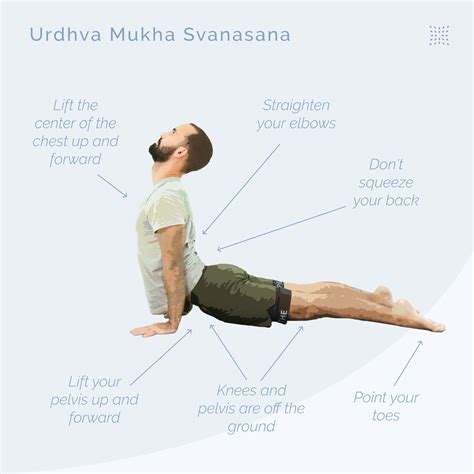 How To Do Urdhva Mukha Svanasana Upward Facing Dog Omstars