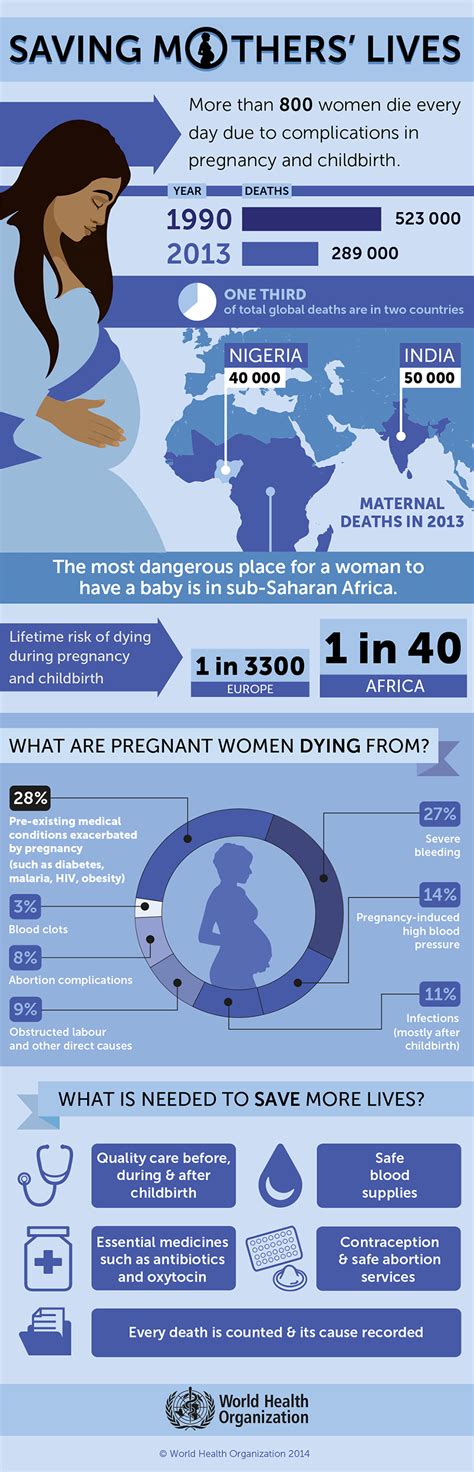 Infographic Saving Mothers Lives