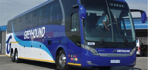 Greyhound Blames Its Demise On Covid 19 Travel Bans And Closed Borders