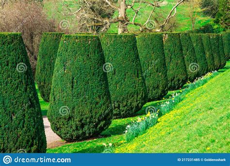 Traditional English Garden In Spring Stock Image Image Of Europe