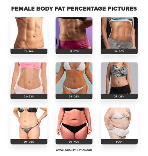 How To Calculate Body Fat Percentage Legion