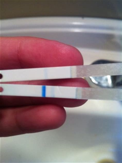 Pregnancy test lines have a specific design and color. Clearblue digital test - BabyCenter