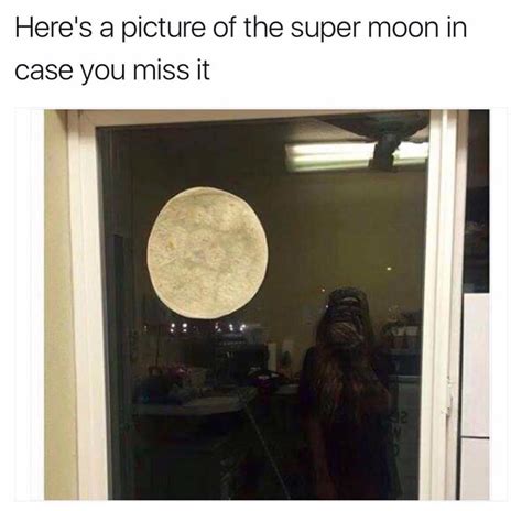 10 hilarious supermoon memes that prove that the moon trolled everyone brandsynario