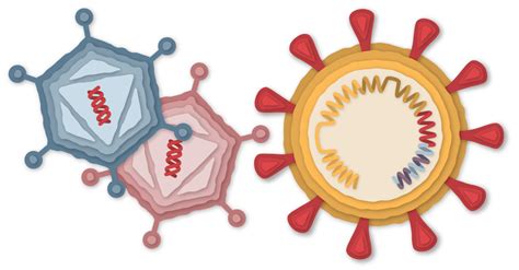 Free vector icons in svg, psd, png, eps and icon font. How Gamaleya's Sputnik V Vaccine Works - News World Express