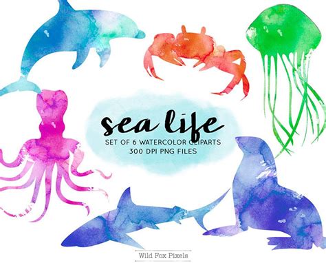 Watercolor Ocean Watercolor Animals Watercolor Clipart Sea Life