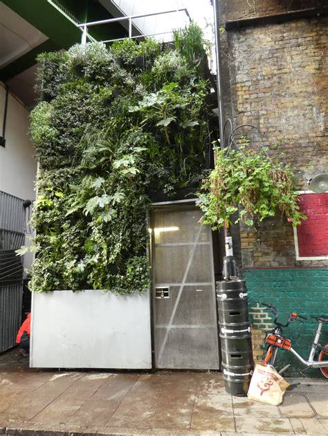 Meristem Design Sustainable Living Walls And Modular Green Wall Systems