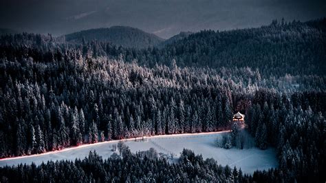 Lone Lighted Cabin In Winter Forest Hd Wallpaper Background Image