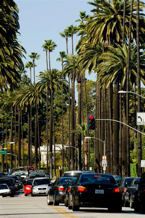 Beverly Hills Street | Beverly hills california, Beverly hills, Hills