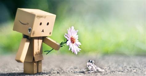 We offer an extraordinary number of hd images that will instantly freshen up your smartphone or computer. You can find all the things we find so adorable and cute ...