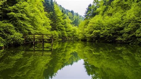 Ljepote Bosne I Hercegovine Koje Se Moraju Posjetiti Park Prirode